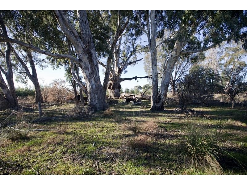 561 Pethericks Road, Goornong VIC 3557