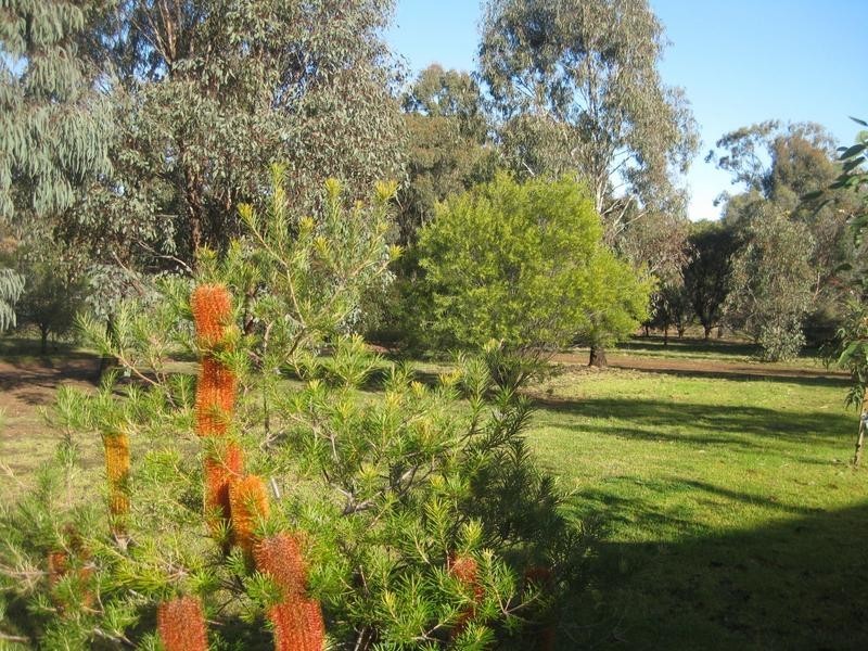 39 Tarah Lane, Lockwood VIC 3551