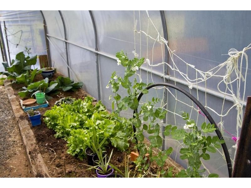 123 Wild Cherry Road, Lockwood South VIC 3551