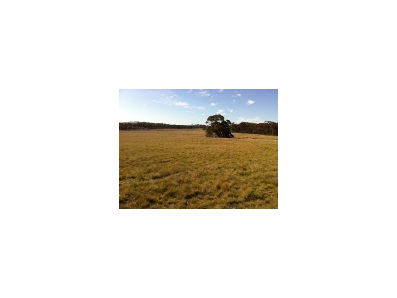 Lot 8,  Logan Road, Bealiba VIC 3475