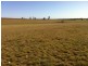 Lot 8,  Logan Road, Bealiba VIC 3475