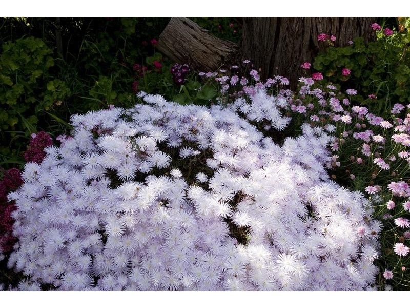 658 Crusoe Road, Lockwood South VIC 3551