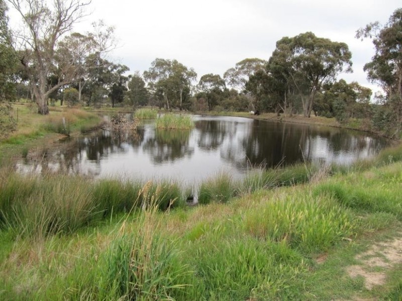 934 Calder Alternate Highway, Lockwood VIC 3551