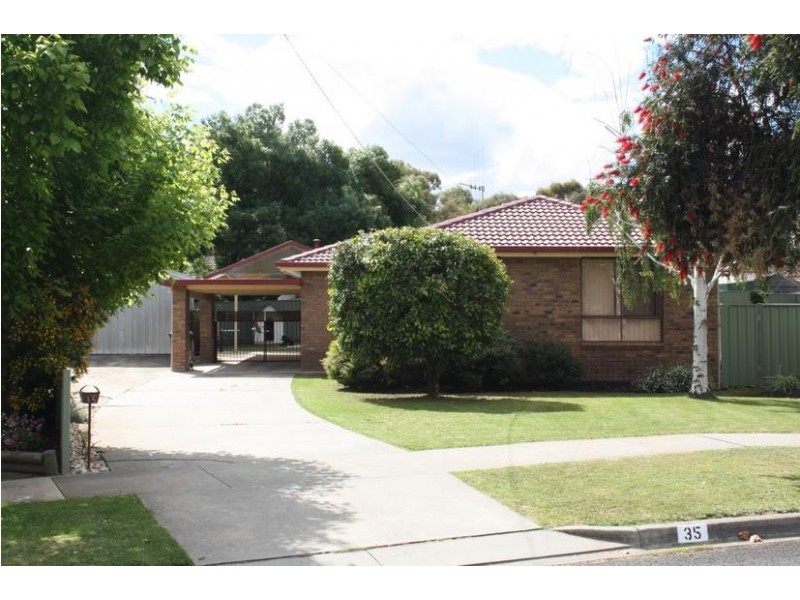 35 Sydenham Avenue, White Hills VIC 3550