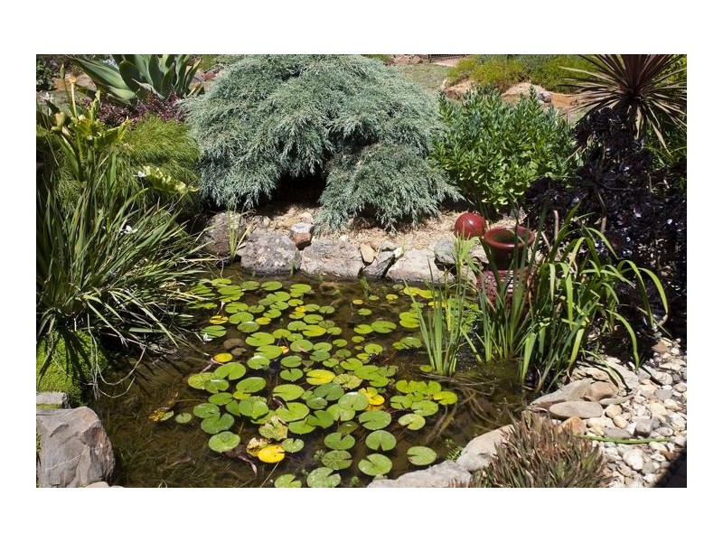 16 Greenwood Drive, Strathdale VIC 3550