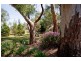 5661 Calder Highway, Big Hill VIC 3555
