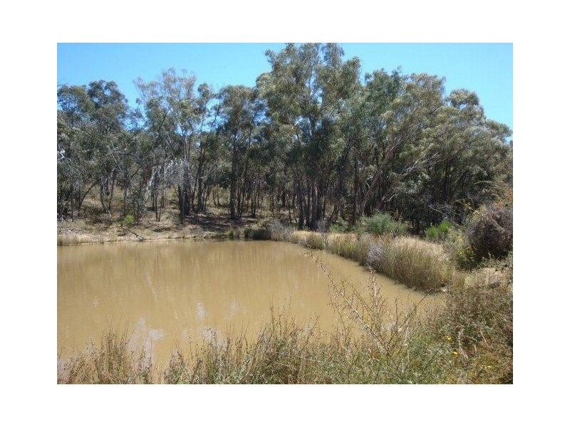 158 Mandurang Road, Mandurang VIC 3551