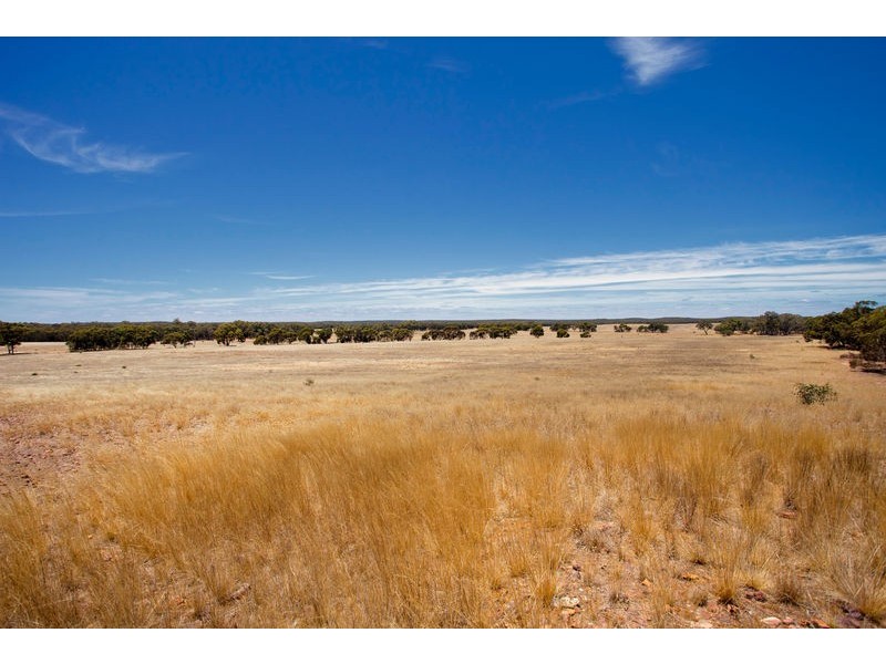 MiIlwood Road, Bendigo VIC 3550