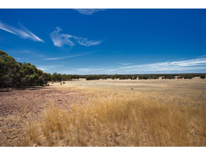 MiIlwood Road, Bendigo VIC 3550