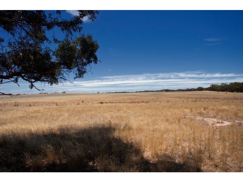 MiIlwood Road, Bendigo VIC 3550