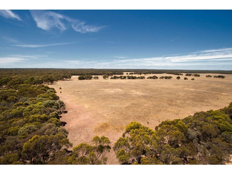 MiIlwood Road, Bendigo VIC 3550