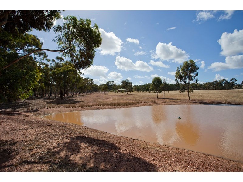 234 Nixons Road, Shelbourne VIC 3463