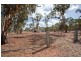 234 Nixons Road, Shelbourne VIC 3463