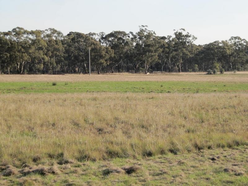 234 Nixons Road, Shelbourne VIC 3463