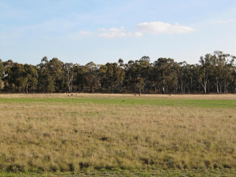 234 Nixons Road, Shelbourne VIC 3463