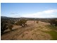 3643 Calder Highway, Harcourt VIC 3453