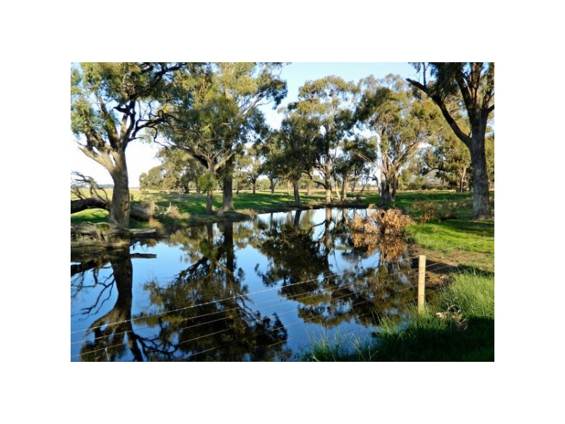 163 Longs Road, Serpentine VIC 3517