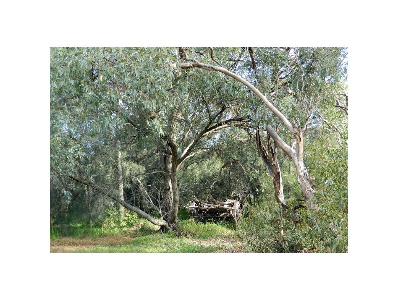 163 Longs Road, Serpentine VIC 3517