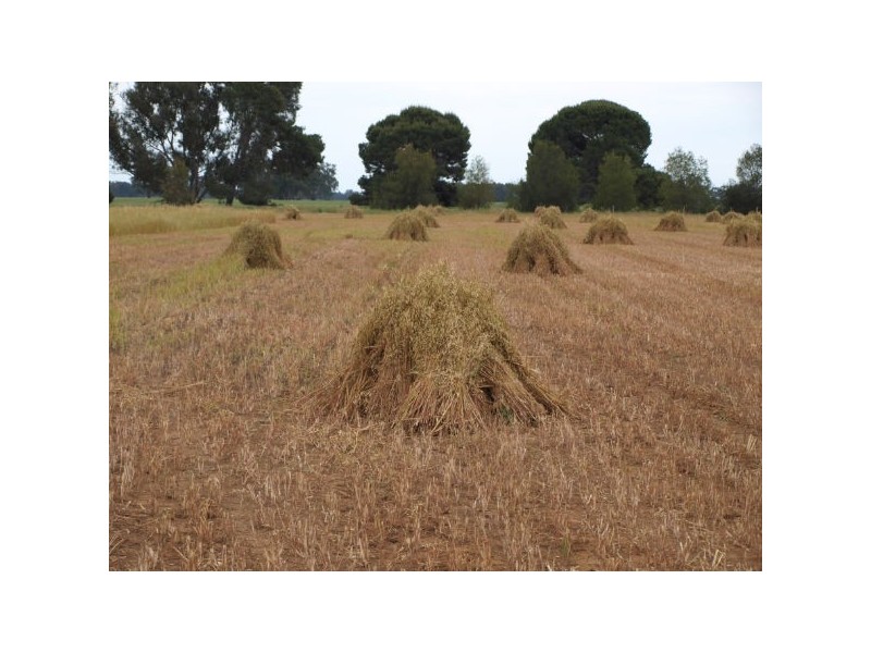 163 Longs Road, Serpentine VIC 3517