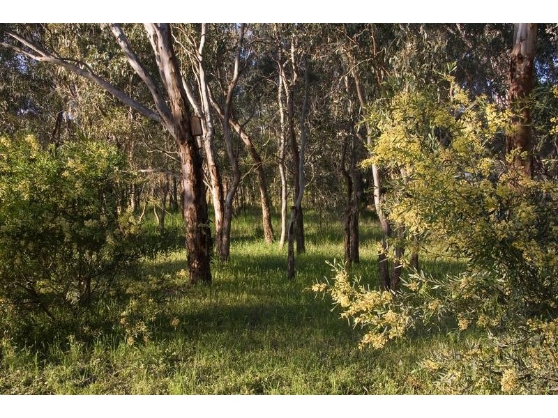 2 Splitters Lane, Junortoun VIC 3551