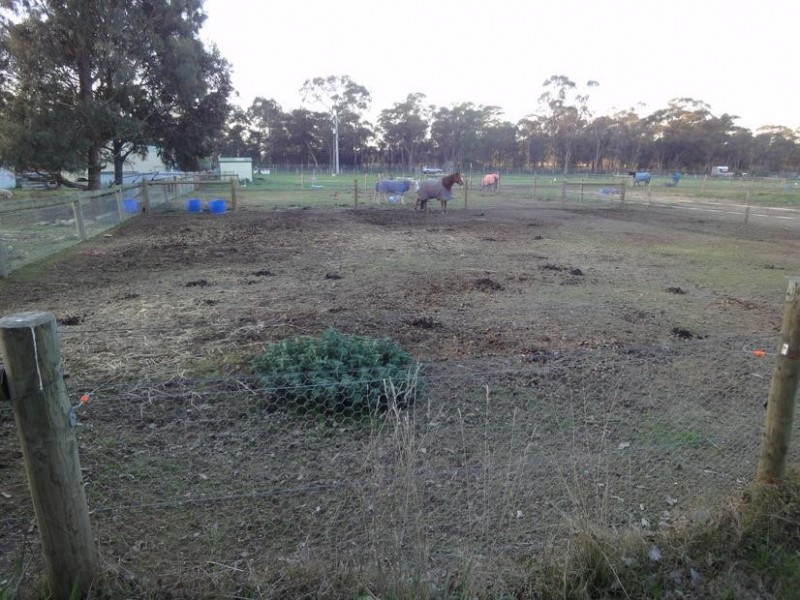 70 Heinz Street, White Hills VIC 3550