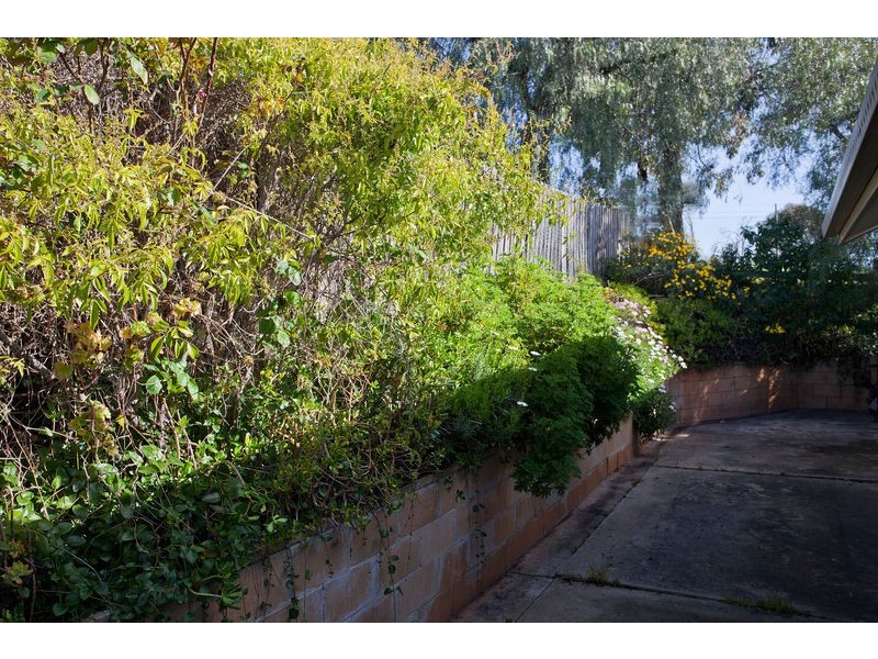 1 & 2/91A Eaglehawk Road, Bendigo VIC 3550