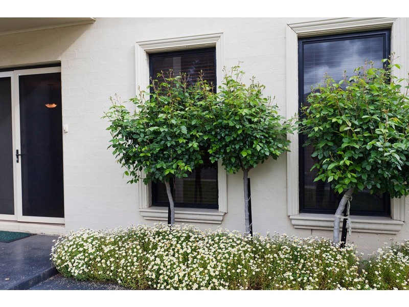 15 Parkside Boulevard, Strathdale VIC 3550