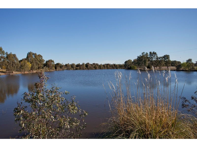 1535 McIvor Highway, Longlea VIC 3551