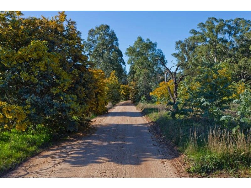 1535 McIvor Highway, Longlea VIC 3551