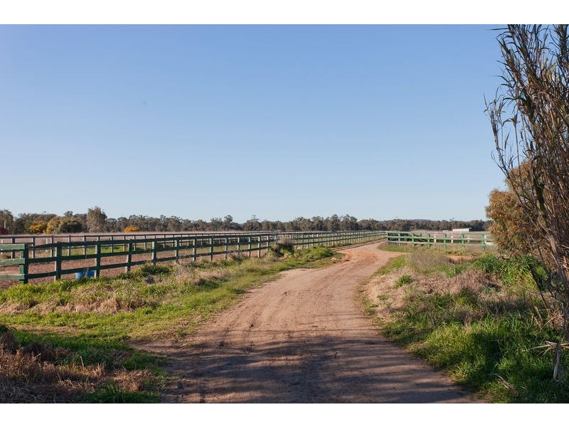 1535 McIvor Highway, Longlea VIC 3551
