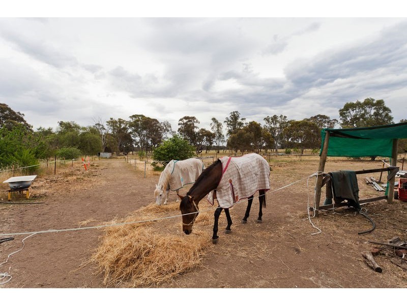 8 Egans Road, Huntly VIC 3551