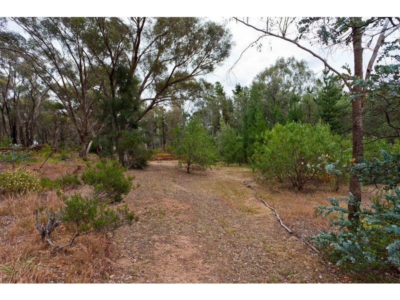 44 St Killians Street, White Hills VIC 3550