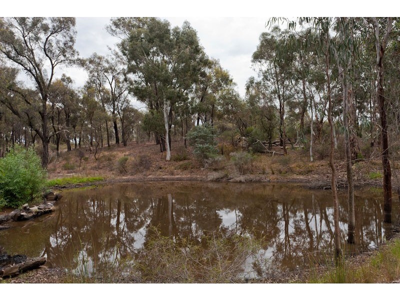 44 St Killians Street, White Hills VIC 3550