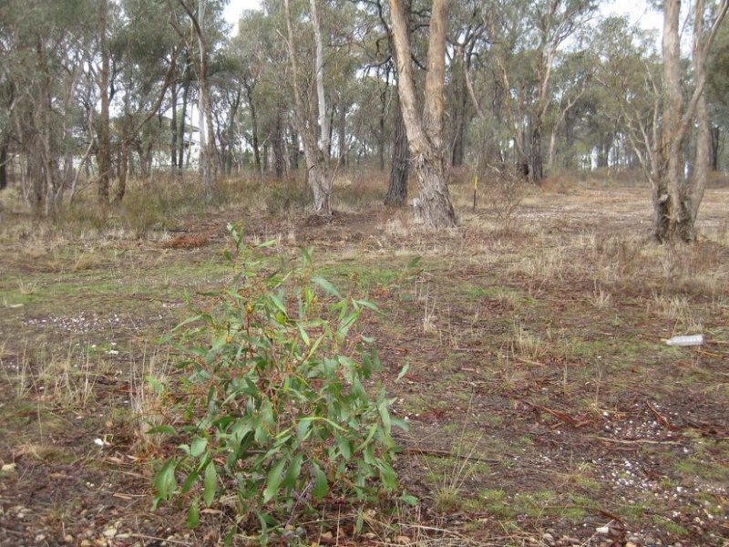 29 Haase Road, Kangaroo Flat VIC 3555