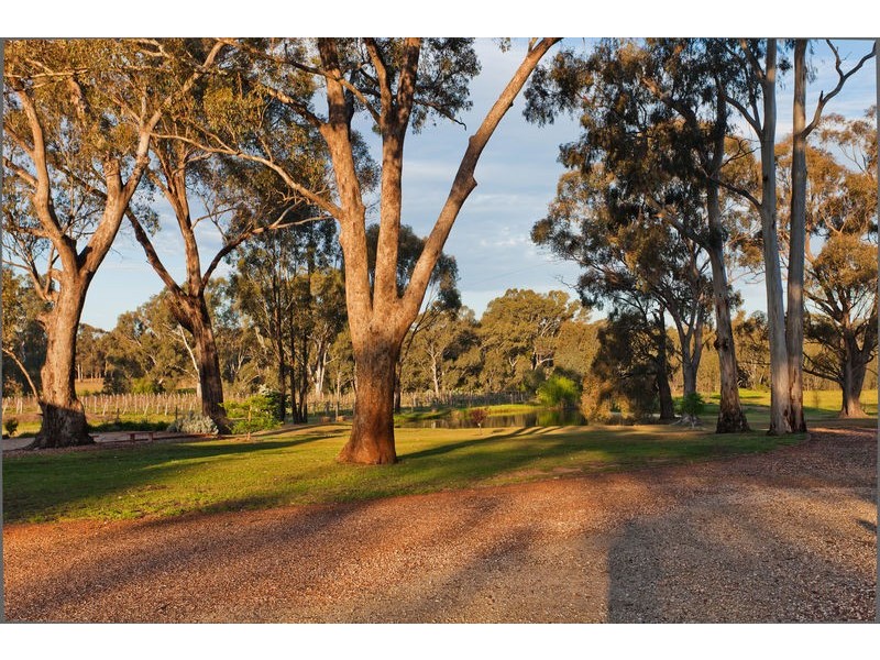 51 Andrews Road, Maiden Gully VIC 3551