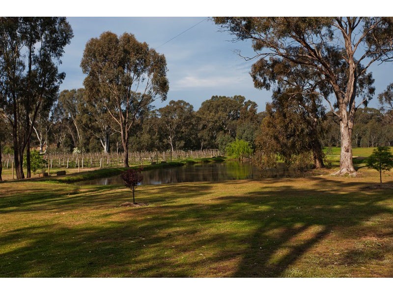 51 Andrews Road, Maiden Gully VIC 3551