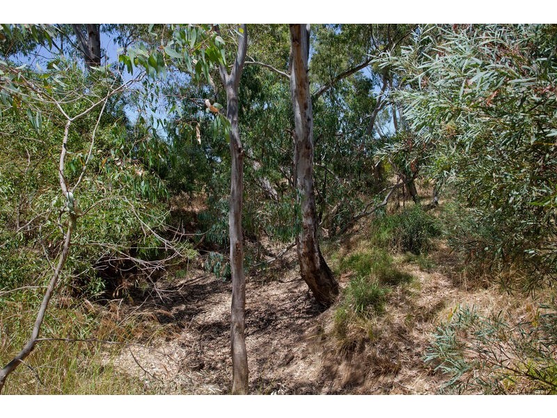 21 McLachlans Lane, Lockwood VIC 3551