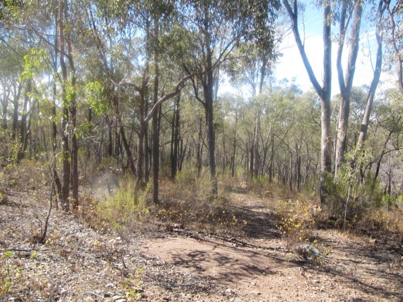 172 Native Gully Crescent, Eppalock VIC 3551