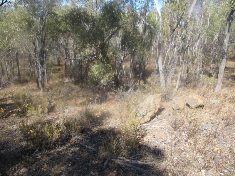 172 Native Gully Crescent, Eppalock VIC 3551