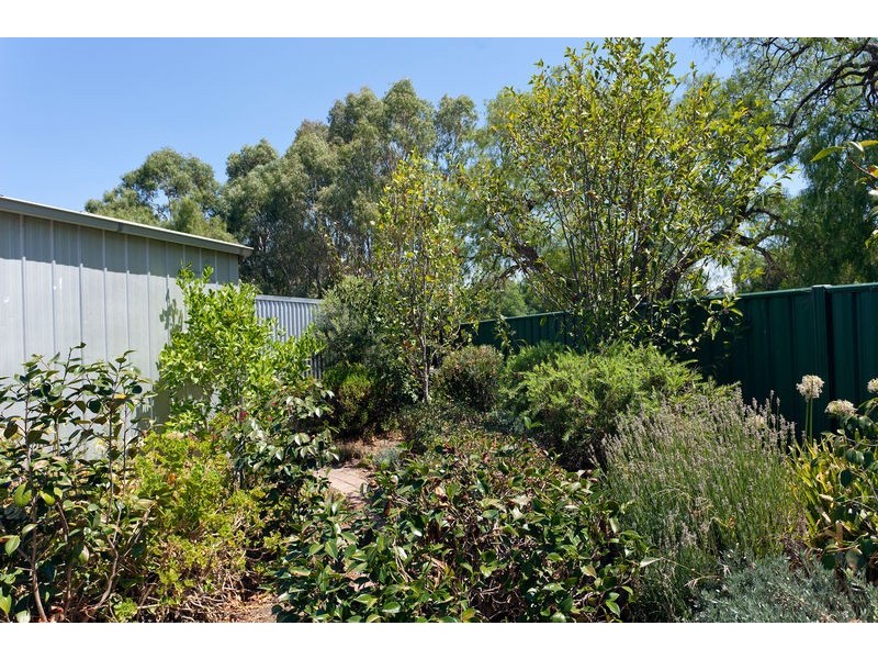 33 Weeroona Avenue, White Hills VIC 3550