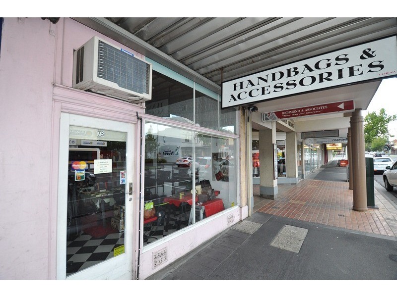 73 Mitchell Street, Bendigo VIC 3550