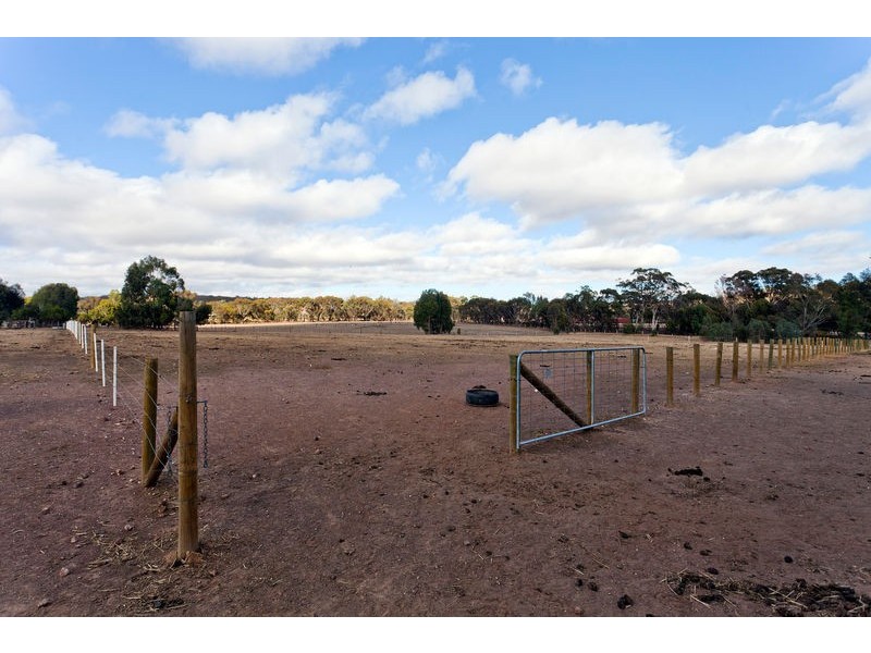 1017 Axe Creek Road, Sedgwick VIC 3551