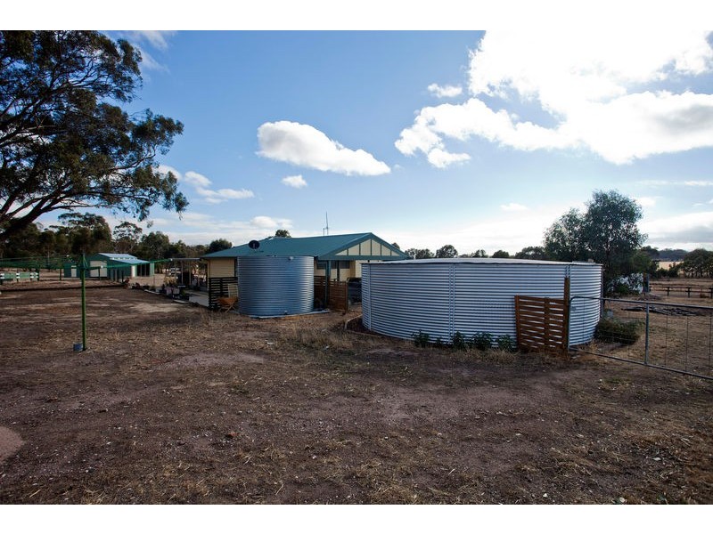 1017 Axe Creek Road, Sedgwick VIC 3551