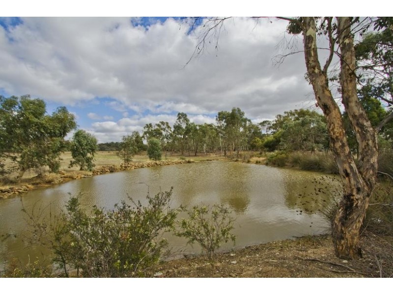 46 Schilling Lane, Strathfieldsaye VIC 3551