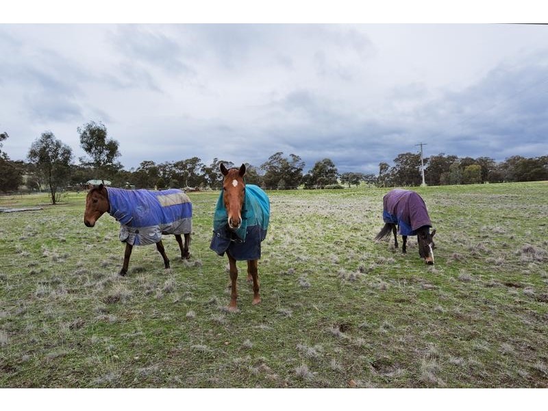 254 McGlashans Road, Lockwood South VIC 3551