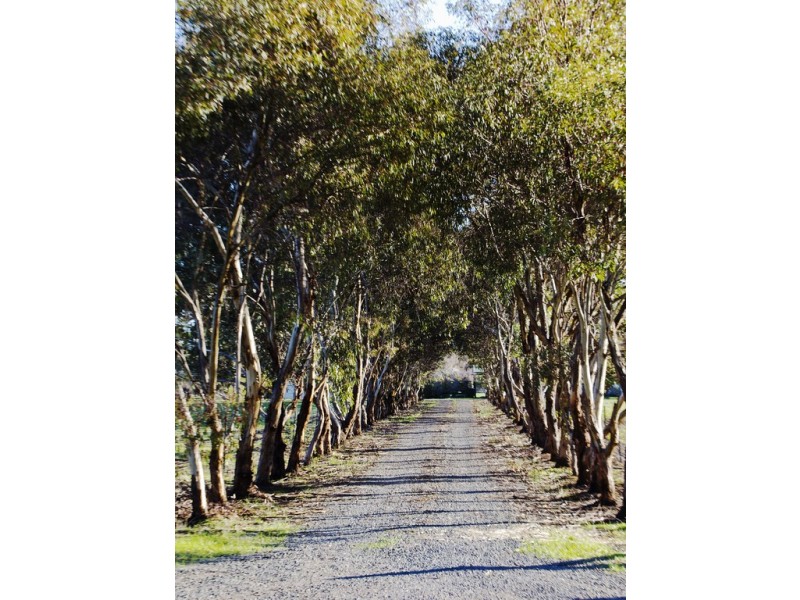 101 Janaways Road, Woodvale VIC 3556