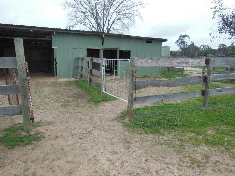 877 Epsom – Barnadown Road, Bagshot VIC 3551