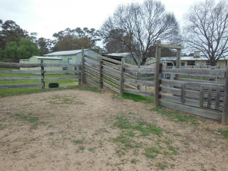 877 Epsom – Barnadown Road, Bagshot VIC 3551