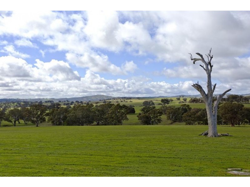 251 Pinjarra Drive, Lockwood South VIC 3551