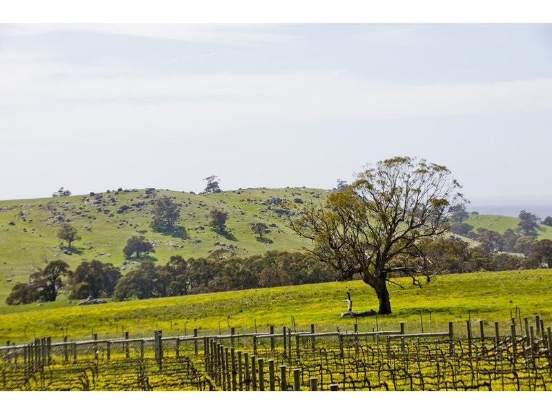 90 Ford Road, Harcourt North VIC 3453